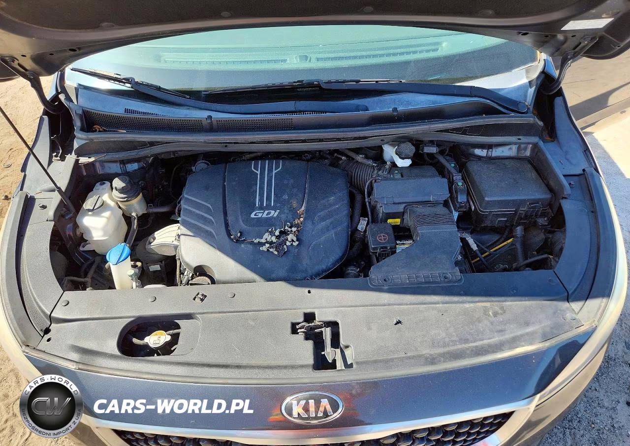 2017 Kia Sedona Ex VIN:KNDMC5C12H6334324 - 12