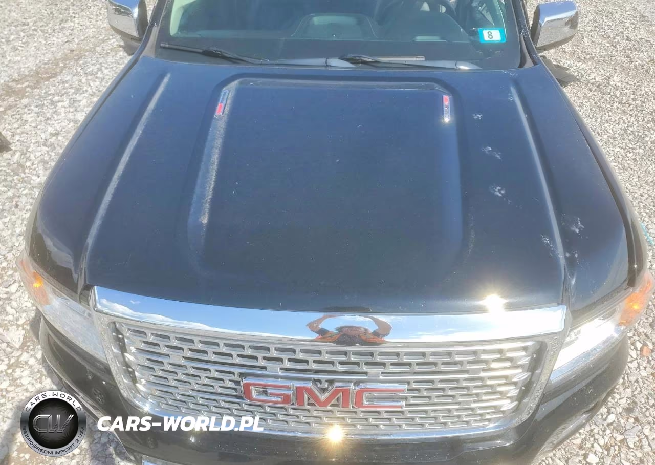 2019 GMC Canyon Denali VIN:1GTP6EE17K1201161 - 11