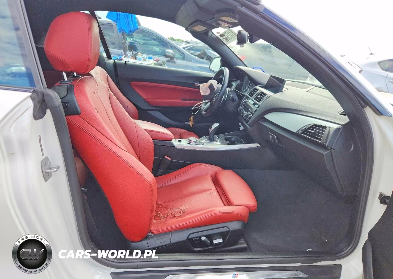 2017 BMW 230Xi VIN:WBA2M9C31HV717994 - 10