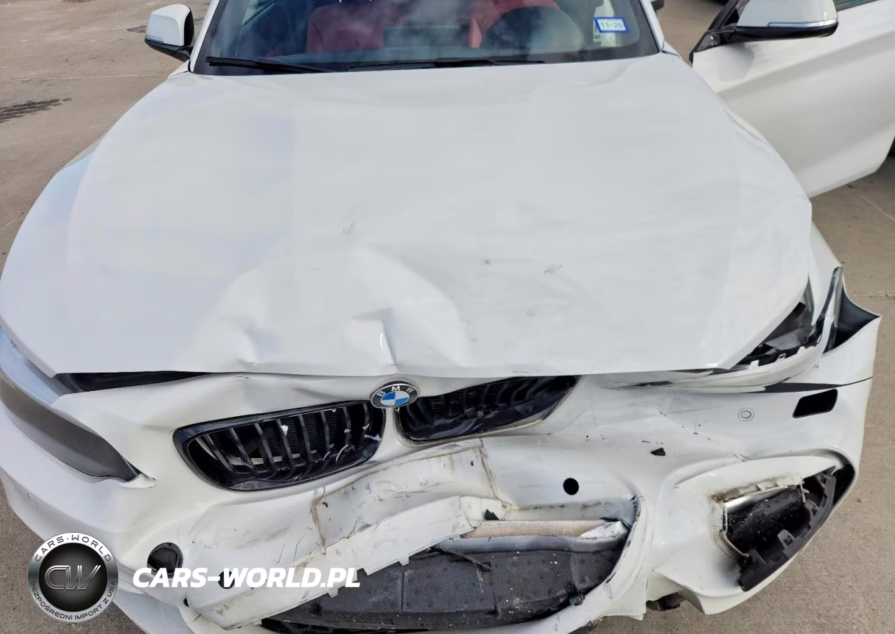 2017 BMW 230Xi VIN:WBA2M9C31HV717994 - 11