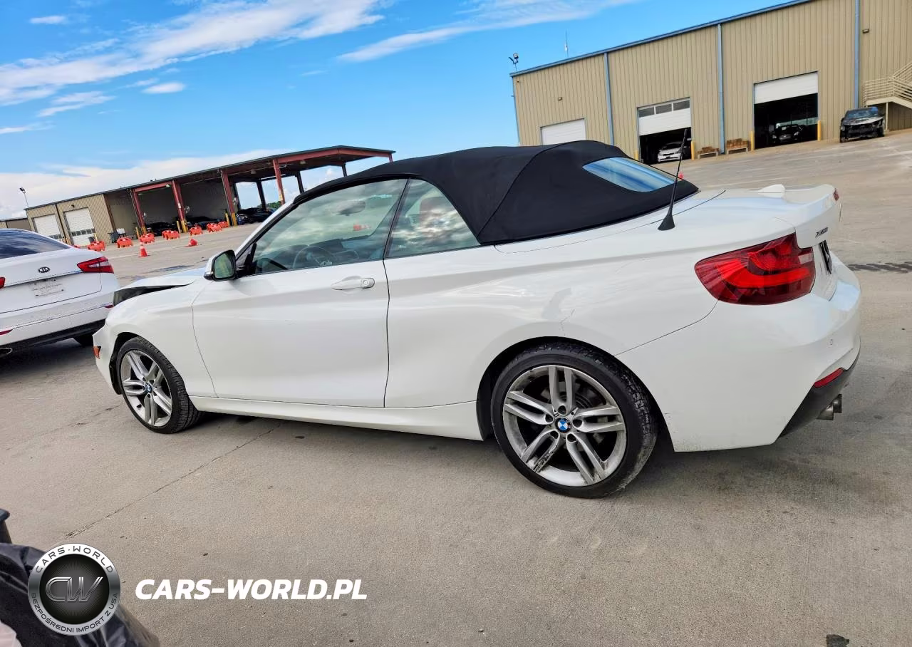 2017 BMW 230Xi VIN:WBA2M9C31HV717994 - 2