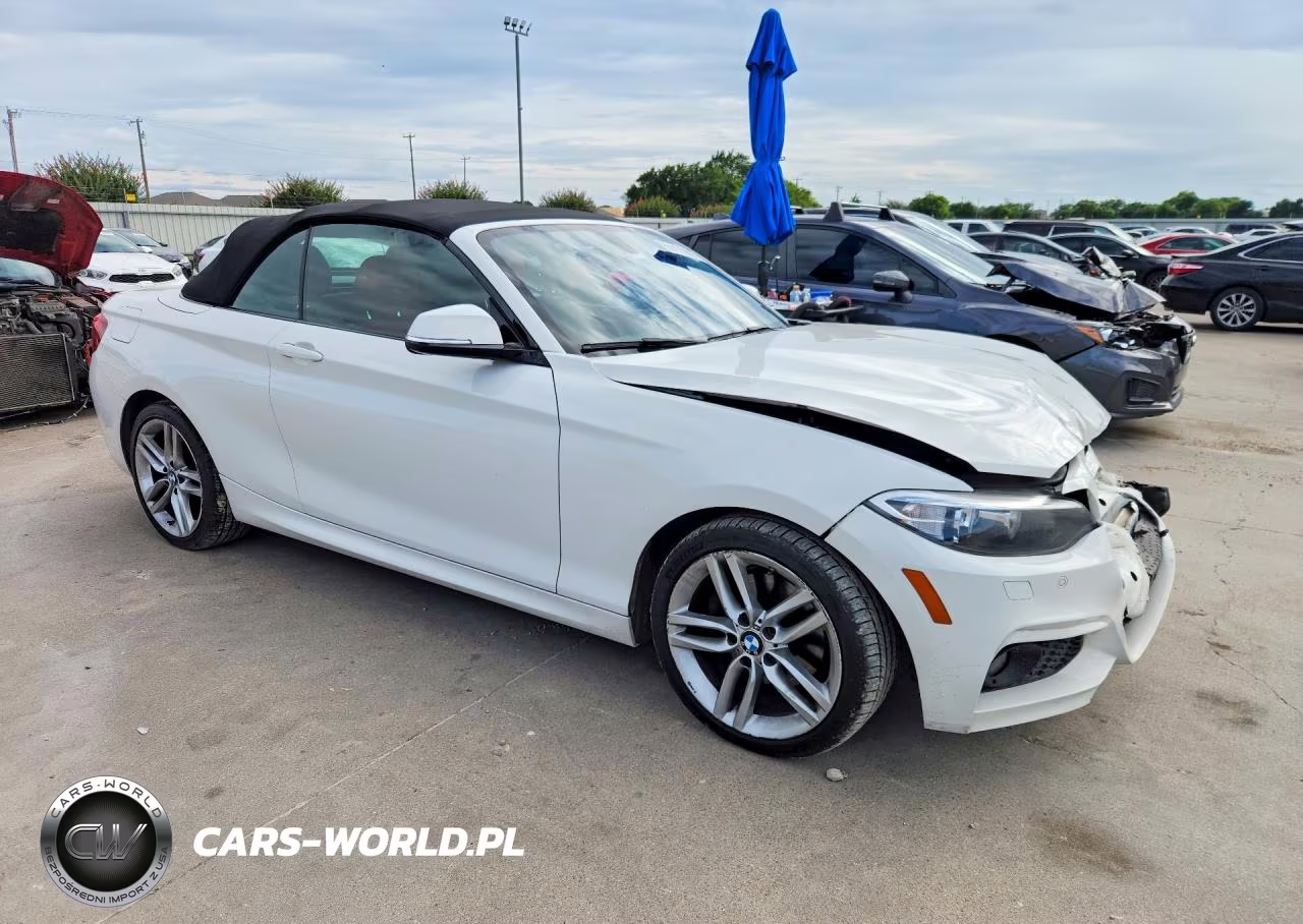 2017 BMW 230Xi VIN:WBA2M9C31HV717994 - 4