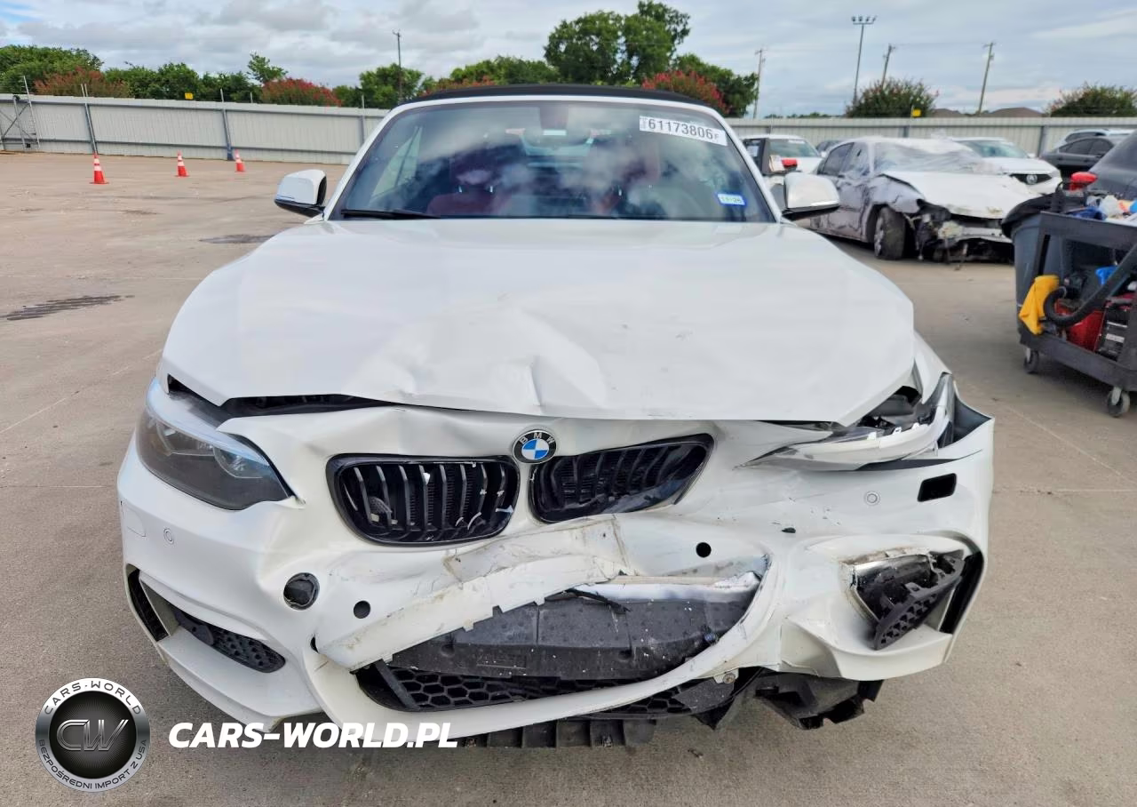 2017 BMW 230Xi VIN:WBA2M9C31HV717994 - 5