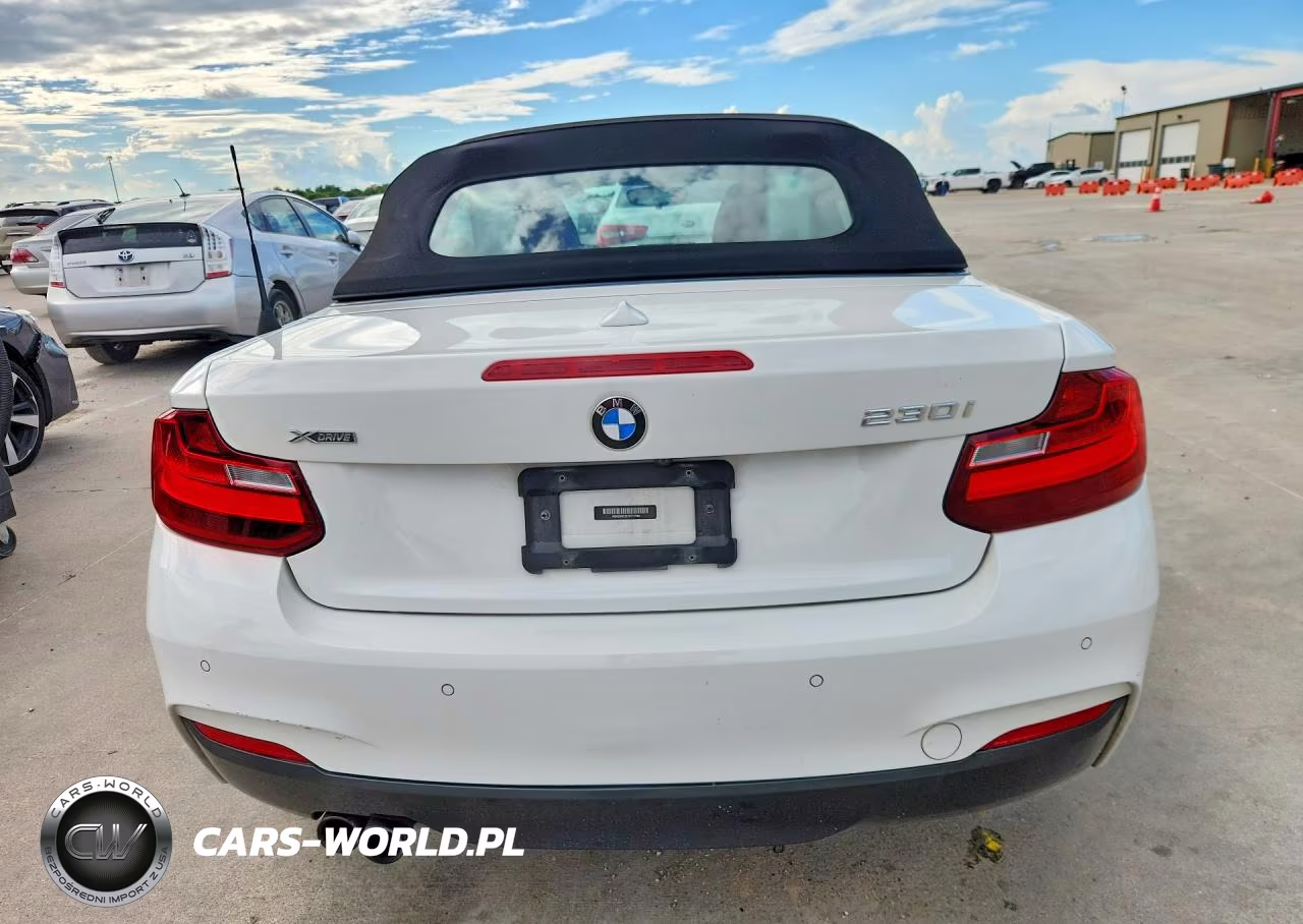 2017 BMW 230Xi VIN:WBA2M9C31HV717994 - 6