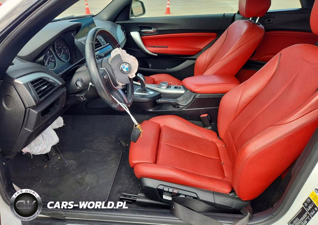 2017 BMW 230Xi VIN:WBA2M9C31HV717994 - 7
