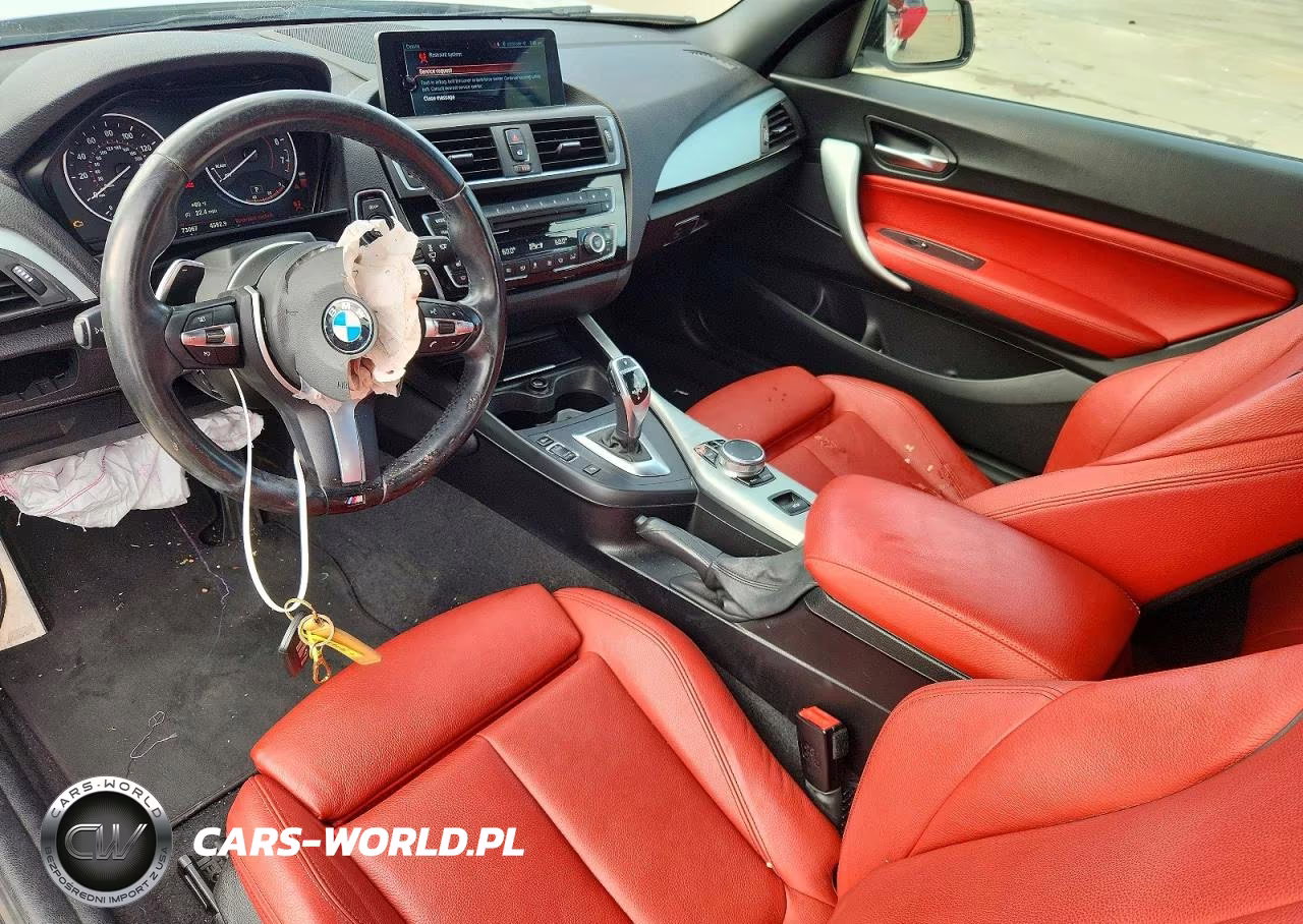 2017 BMW 230Xi VIN:WBA2M9C31HV717994 - 8