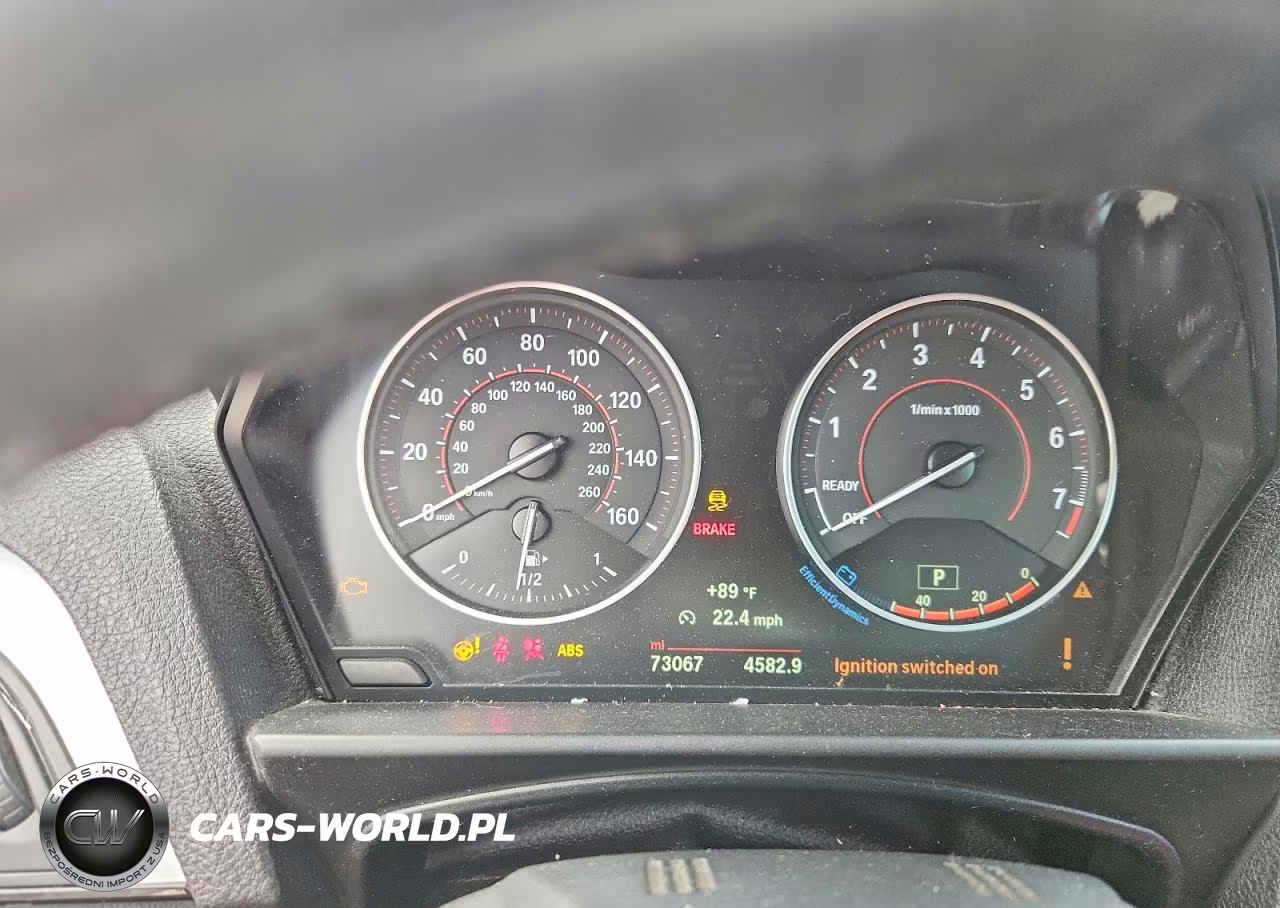 2017 BMW 230Xi VIN:WBA2M9C31HV717994 - 9
