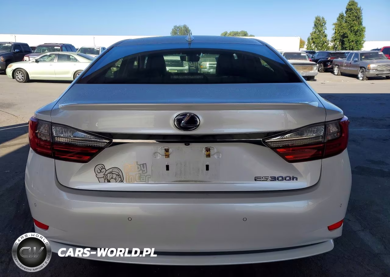 2018 Lexus Es 300H VIN:JTHBW1GG0J2174574 - 6