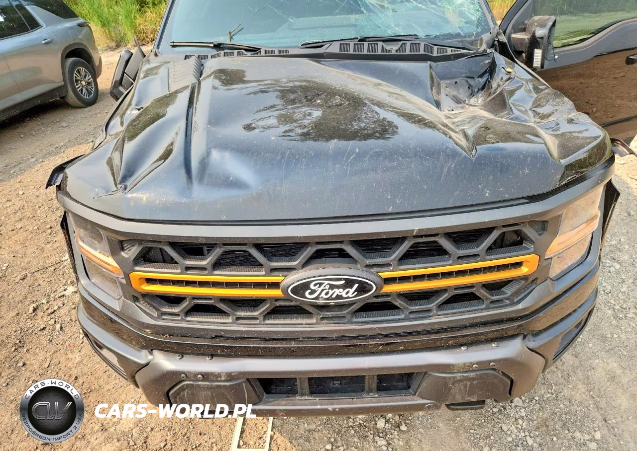 2025 Ford F150 Tremor VIN:1FTFW4L88SFA04458 - 11