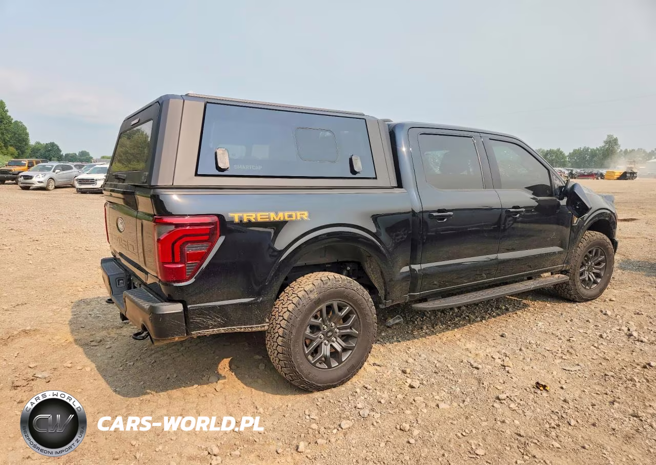 2025 Ford F150 Tremor VIN:1FTFW4L88SFA04458 - 3
