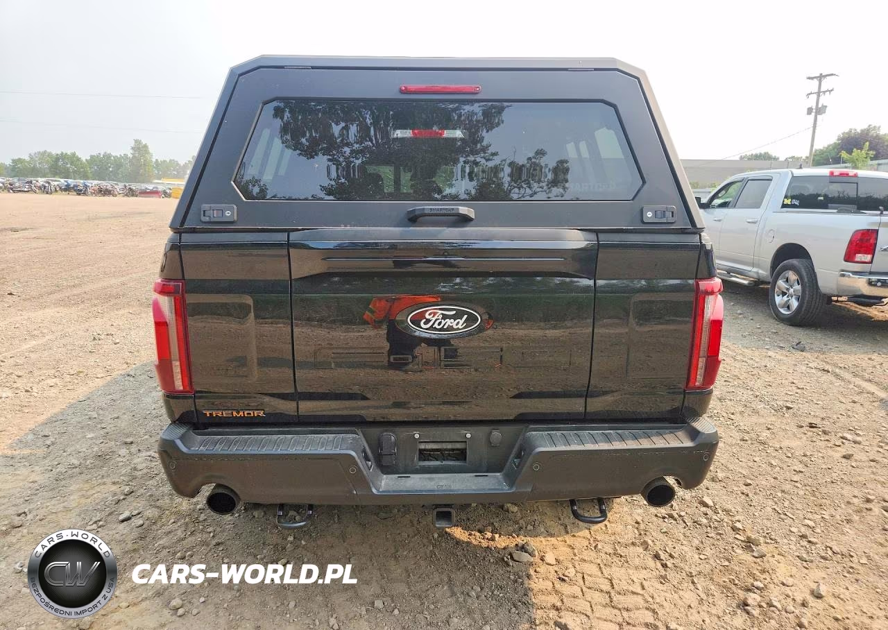 2025 Ford F150 Tremor VIN:1FTFW4L88SFA04458 - 6