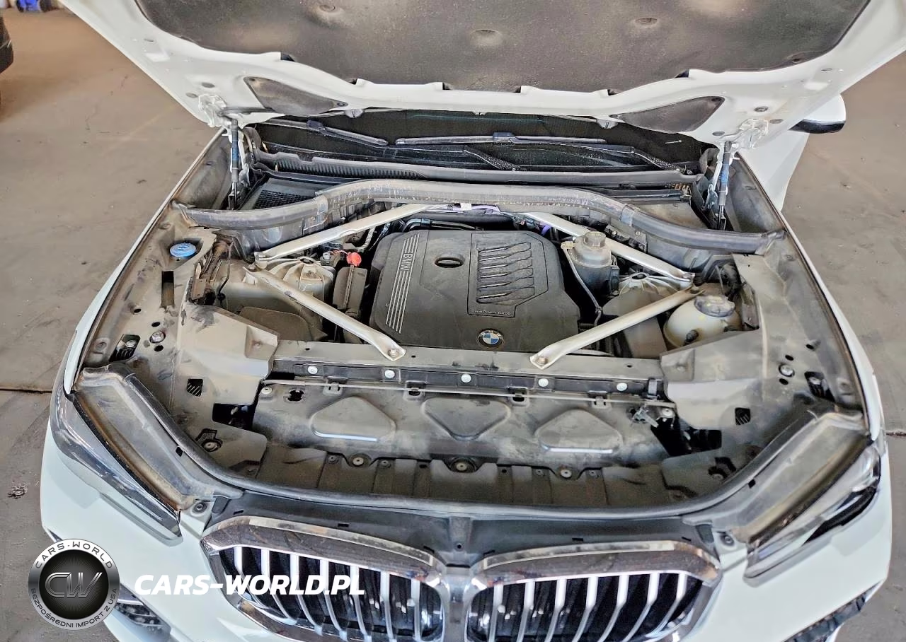 2023 BMW X5 Sdrive 40I VIN:5UXCR4C00P9N73376 - 12
