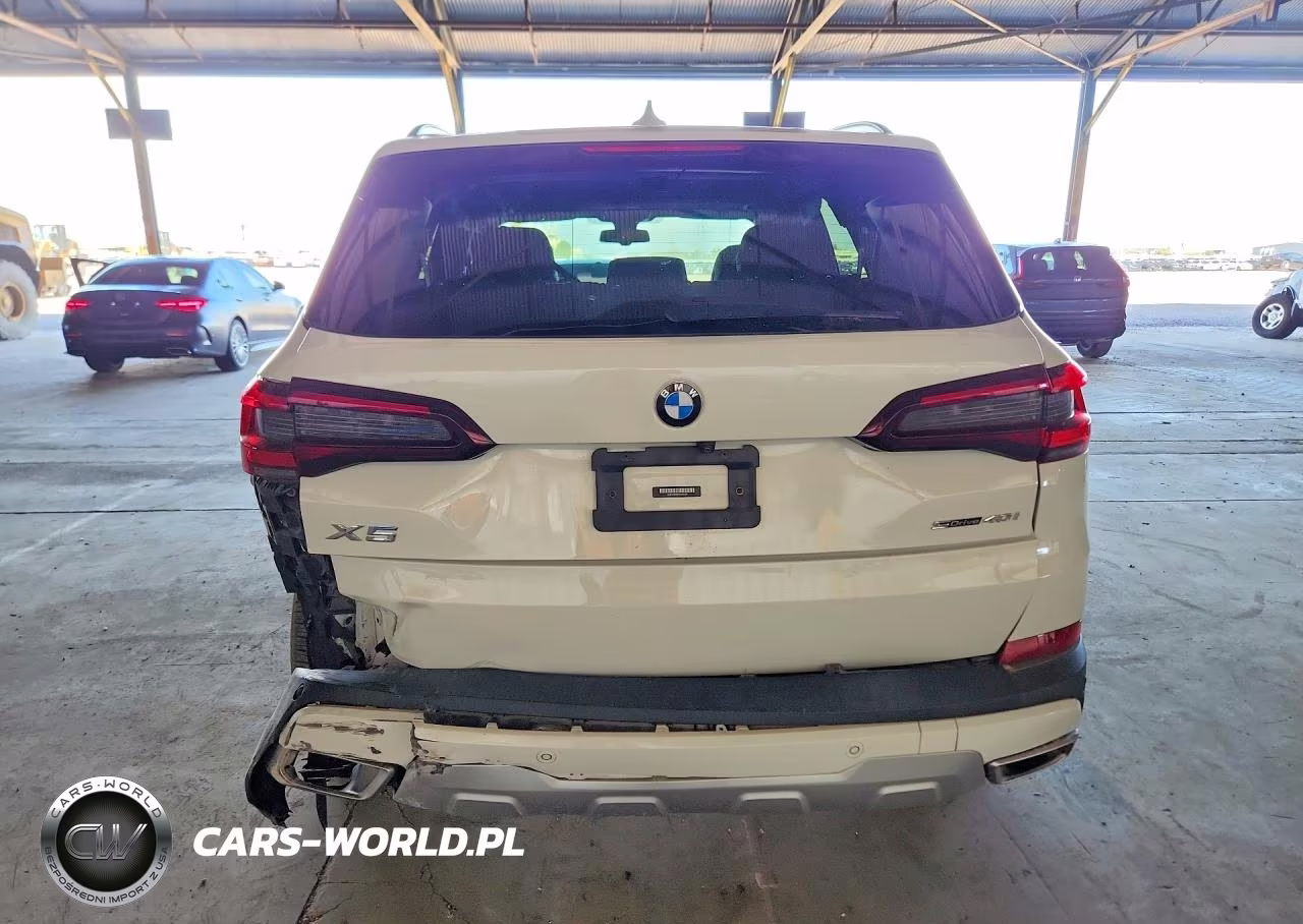2023 BMW X5 Sdrive 40I VIN:5UXCR4C00P9N73376 - 6