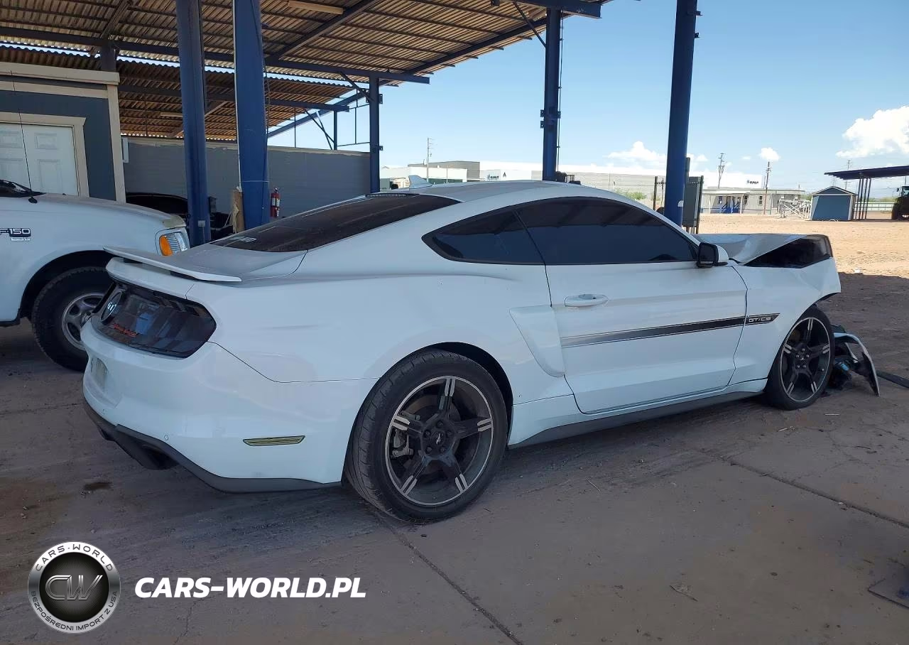 2021 Ford Mustang Gt VIN:1FA6P8CF5M5107435 - 3
