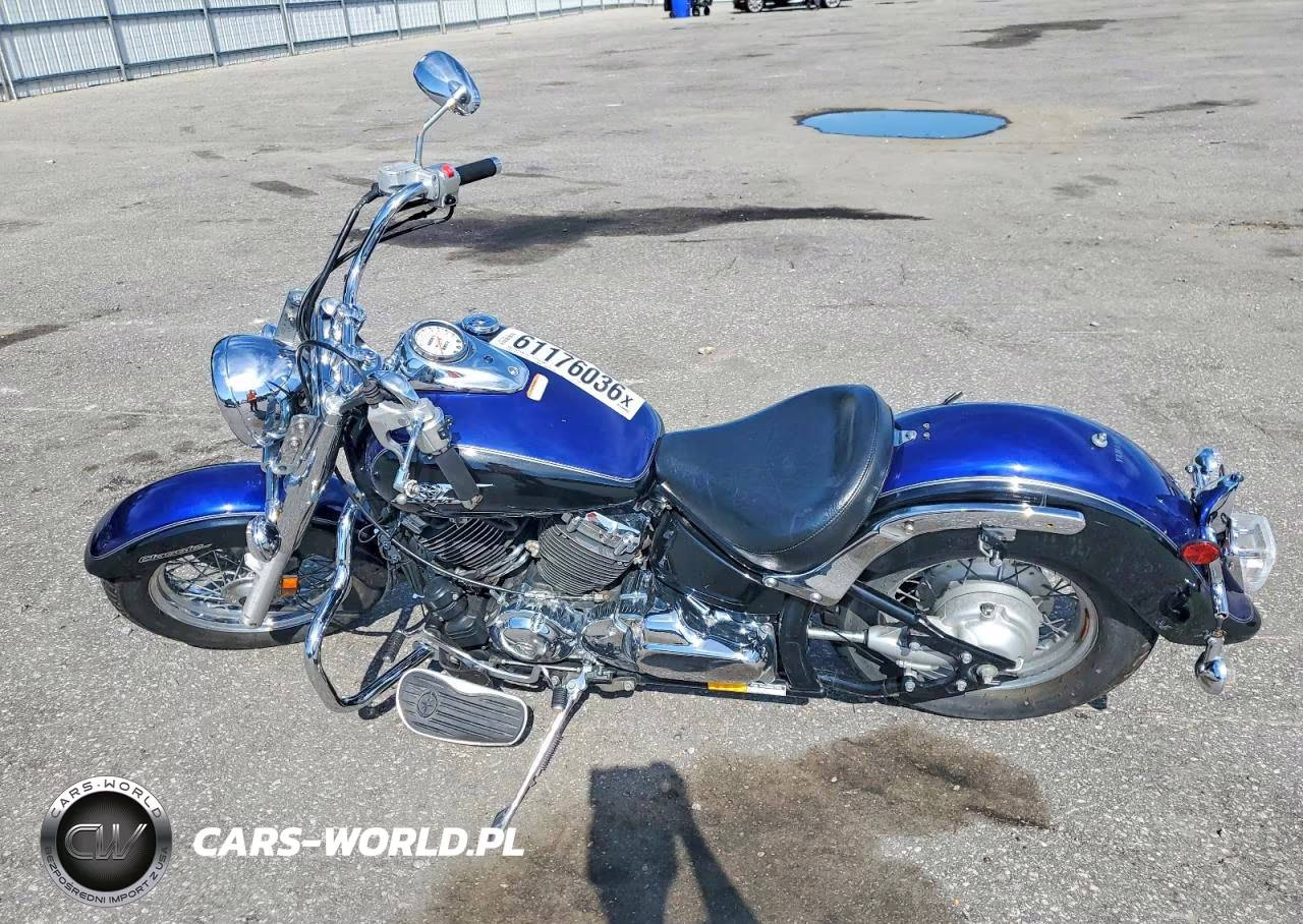 2007 Yamaha Xvs650 VIN:JYAVM01E27A110455 - 3