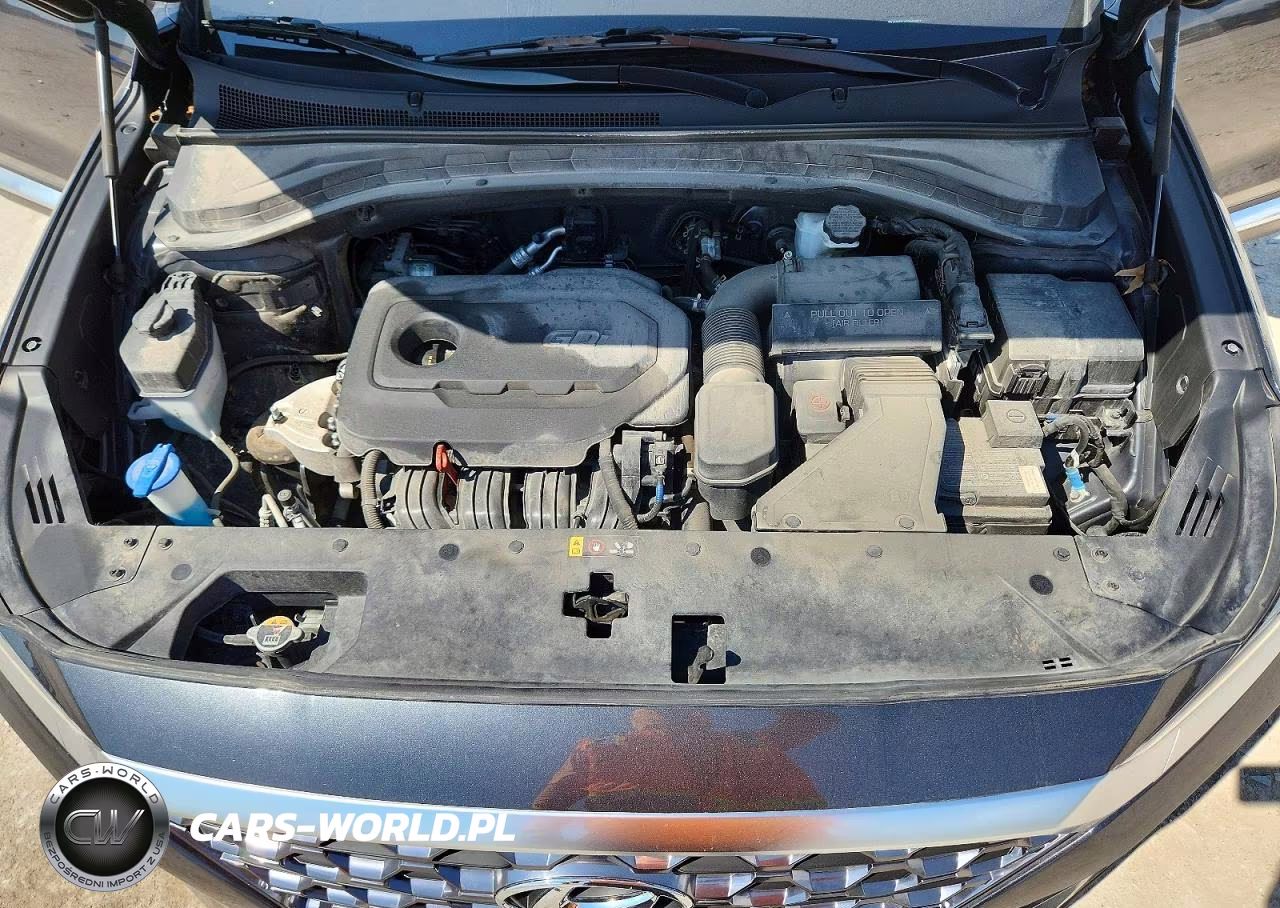 2020 Hyundai Santa Fe Sel VIN:5NMS3CAD2LH249892 - 11