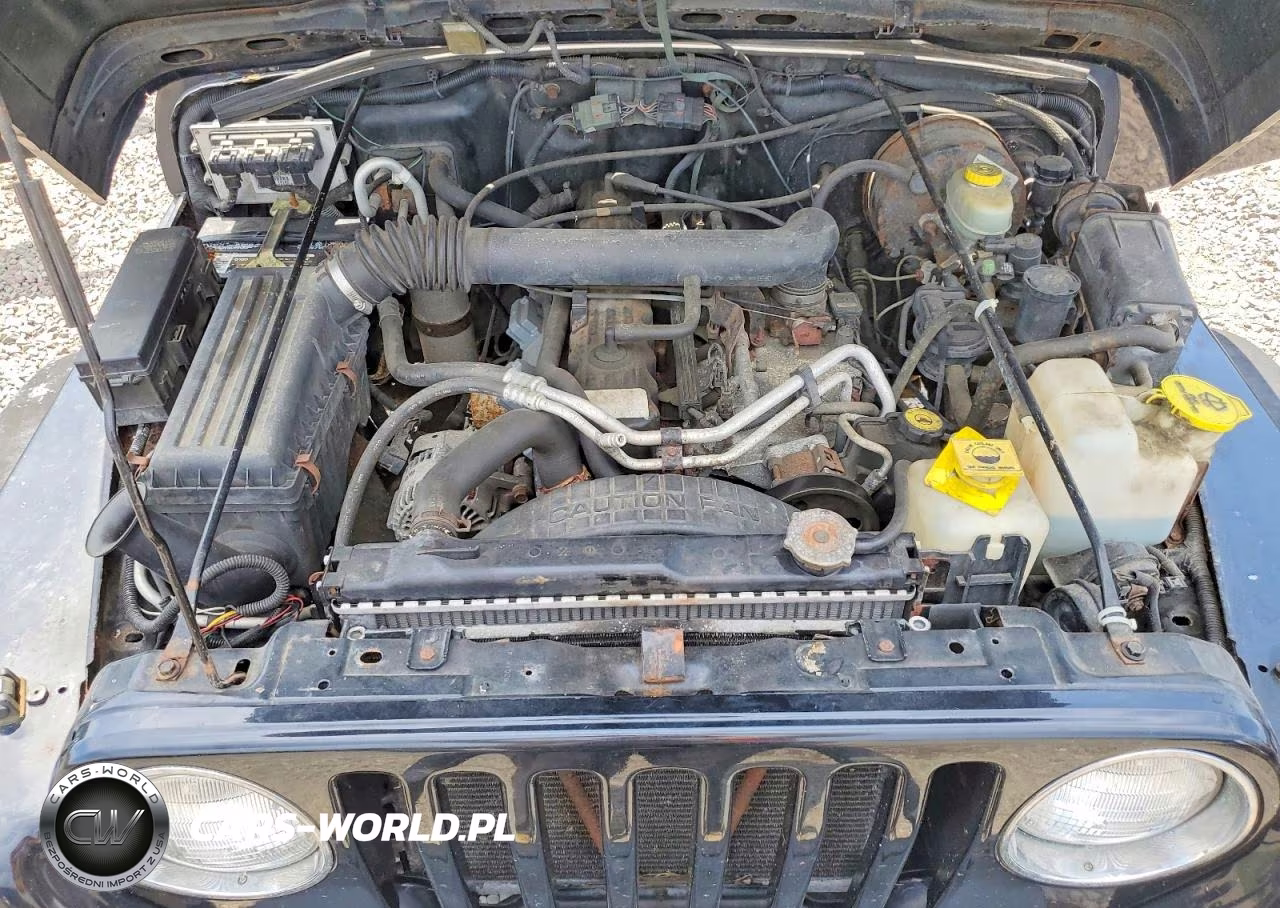 2001 Jeep Wrangler - Tj Sport VIN:1J4FA49S01P304774 - 12