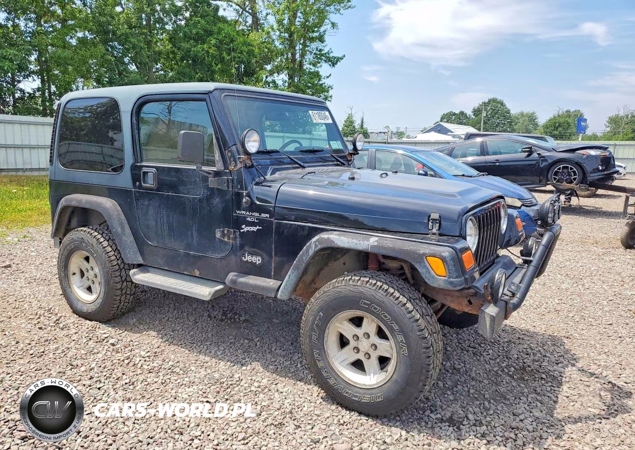 2001 Jeep Wrangler - Tj Sport VIN:1J4FA49S01P304774 - 4