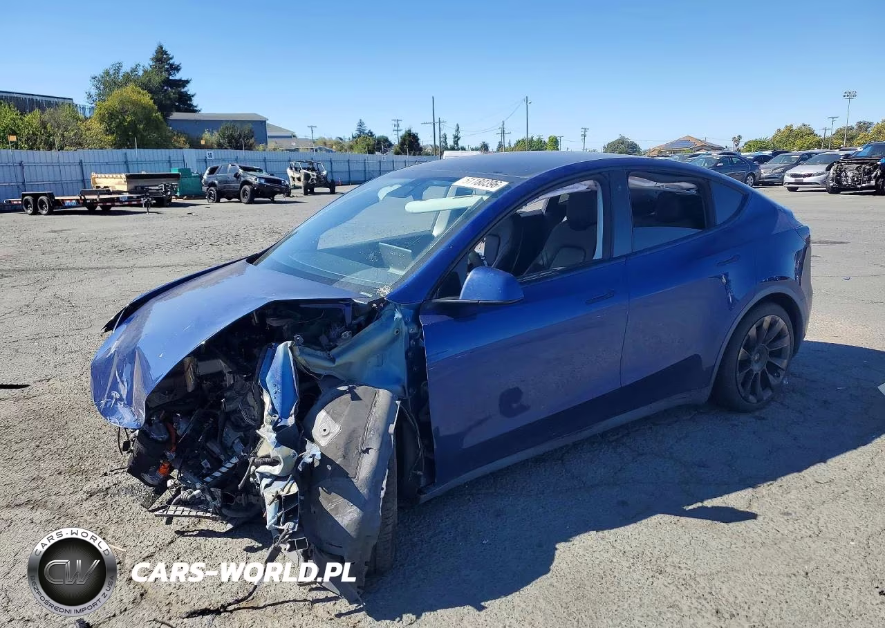 2020 Tesla Model Y