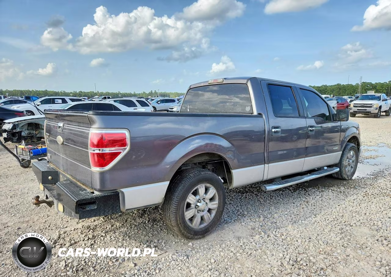 2011 Ford F150 Supercrew VIN:1FTFW1CT8BFC38747 - 3