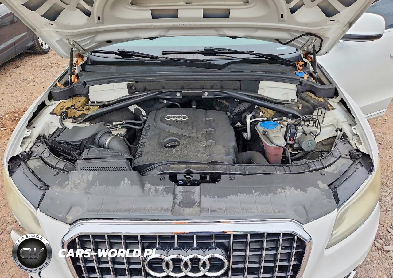 2013 Audi Q5 Premium Plus VIN:WA1LFAFP5DA086938 - 12