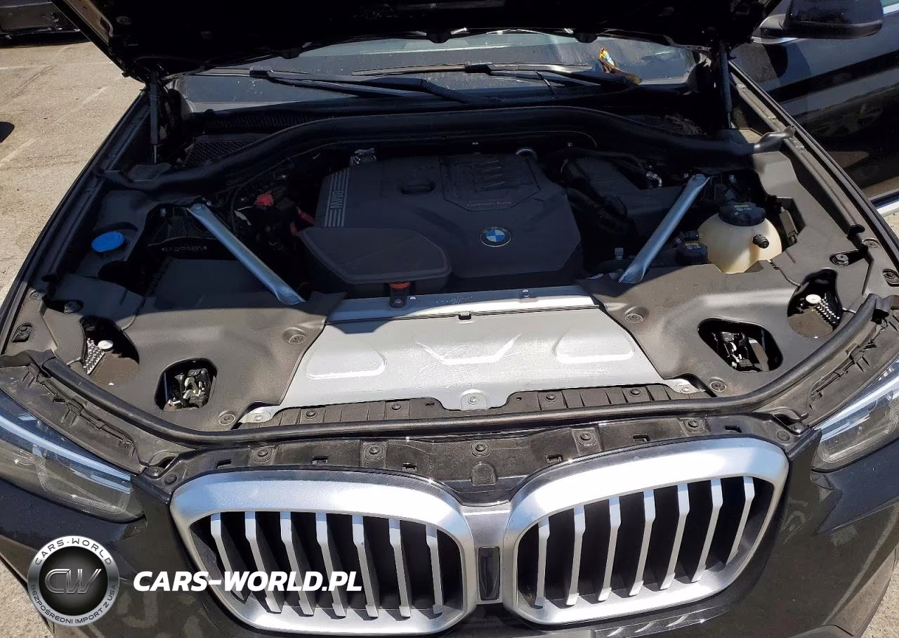 2022 BMW X3 Sdrive30I VIN:5UX43DP00N9K60874 - 11
