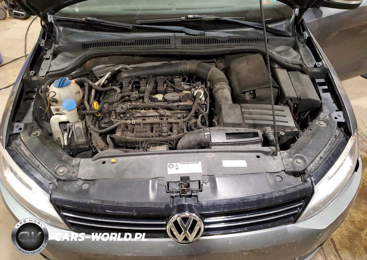 2014 Volkswagen Jetta Sel VIN:3VWL17AJ9EM429908 - 11