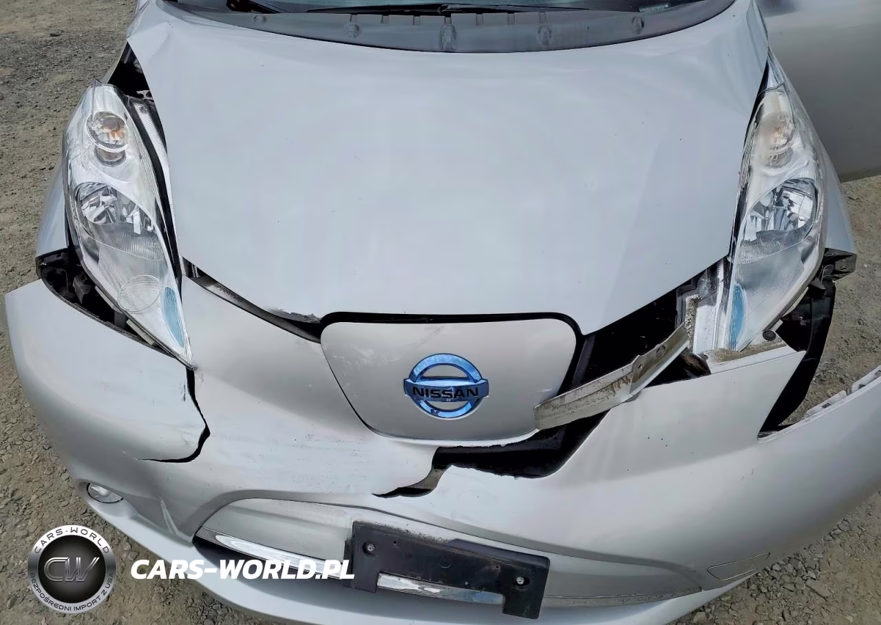 2015 Nissan Leaf S VIN:1N4AZ0CP0FC307118 - 12