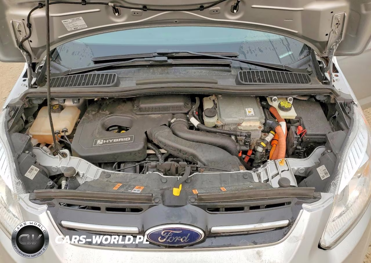 2018 Ford C-Max Se VIN:1FADP5AU8JL105953 - 12