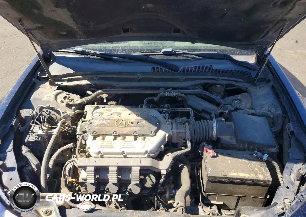 2009 Acura Tl VIN:19UUA86519A019505 - 11