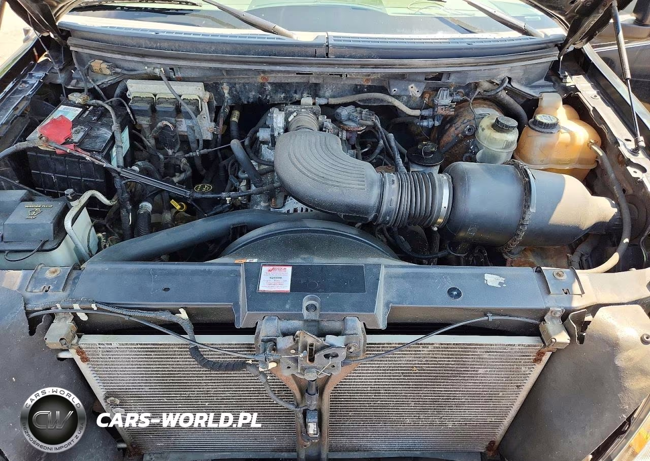 2006 Ford F150 VIN:1FTRX14W36NB34939 - 11