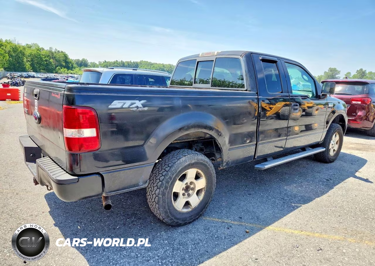 2006 Ford F150 VIN:1FTRX14W36NB34939 - 3