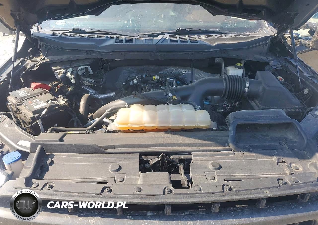 2021 Ford F150 Supercrew VIN:1FTEW1EPXMKD35910 - 11