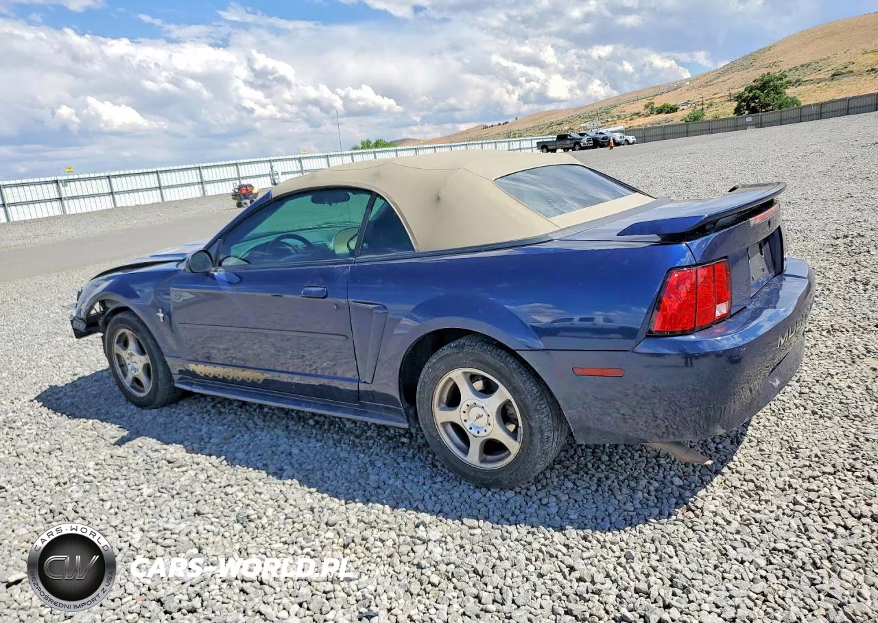 2003 Ford Mustang VIN:1FAFP44453F411198 - 2