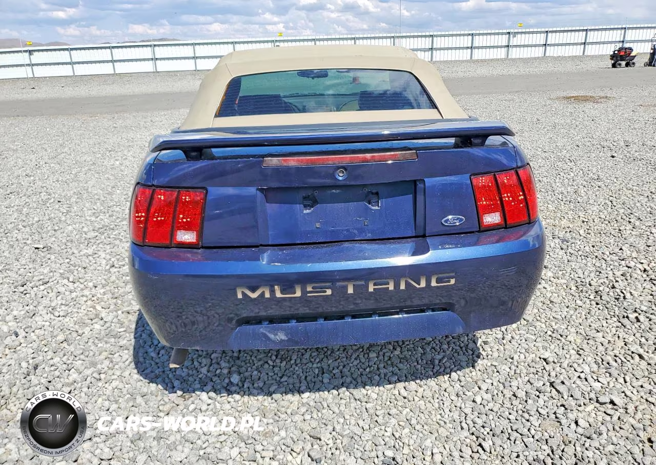 2003 Ford Mustang VIN:1FAFP44453F411198 - 6