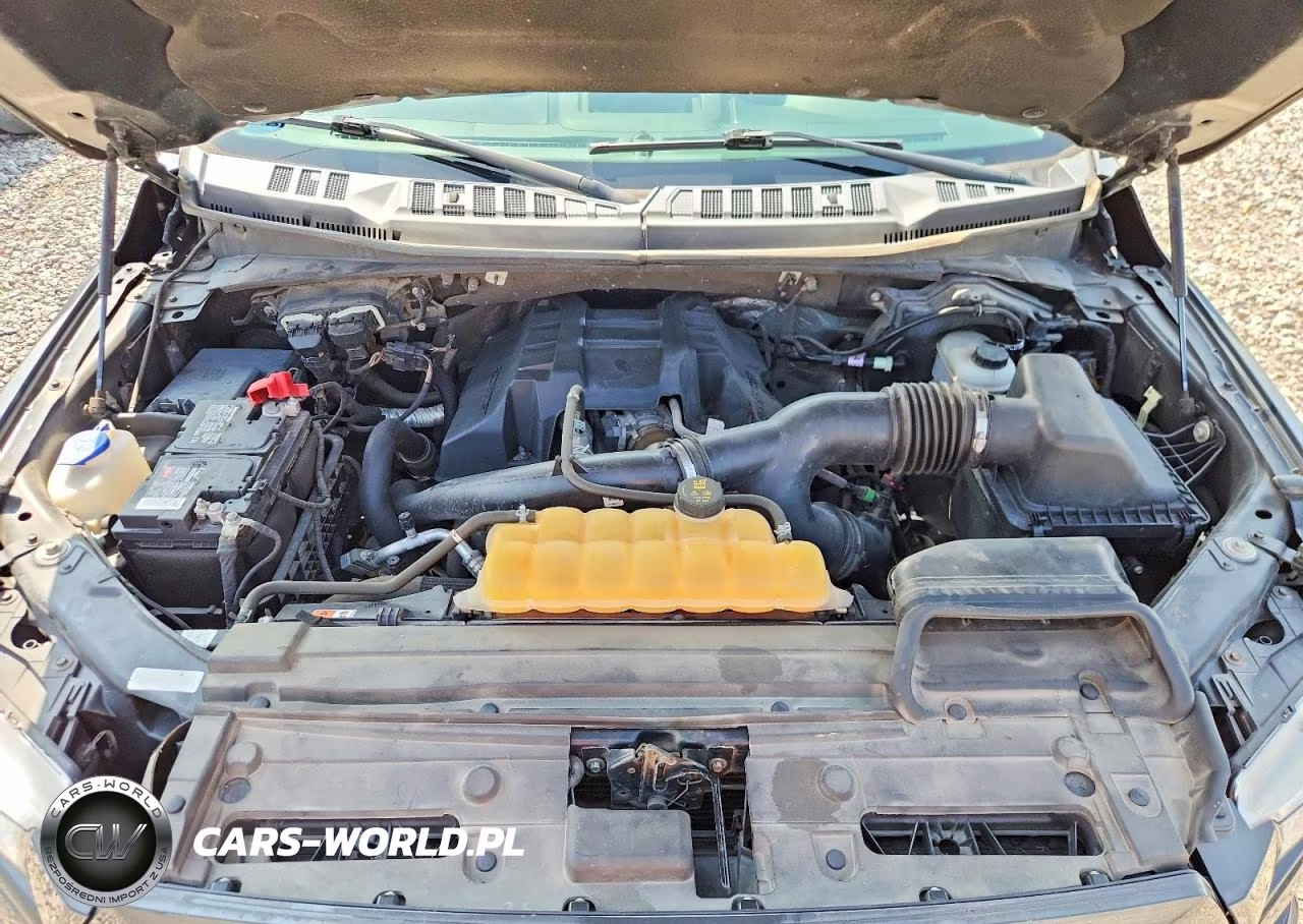 2017 Ford F150 Supercrew VIN:1FTEW1EPXHKD23312 - 11