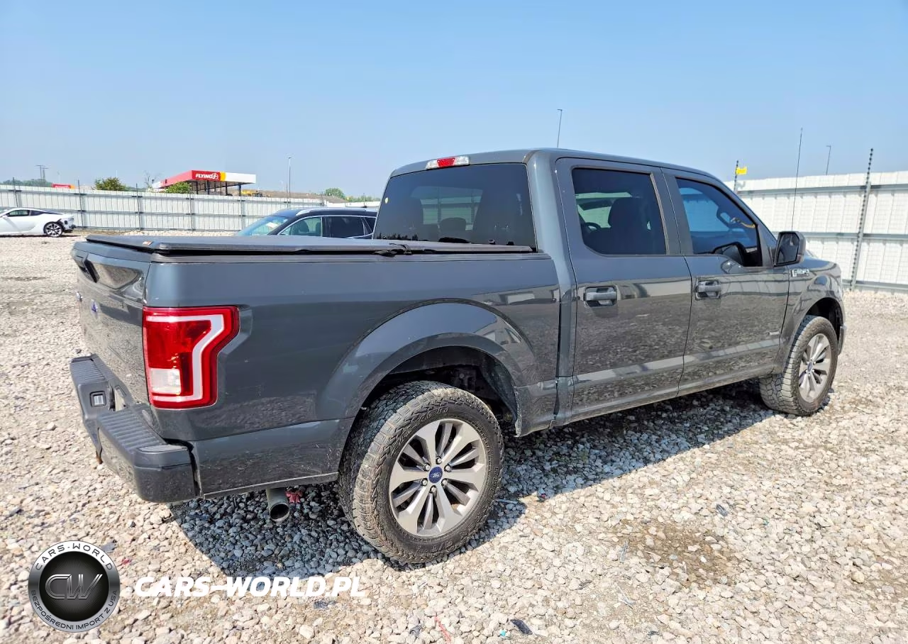 2017 Ford F150 Supercrew VIN:1FTEW1EPXHKD23312 - 3