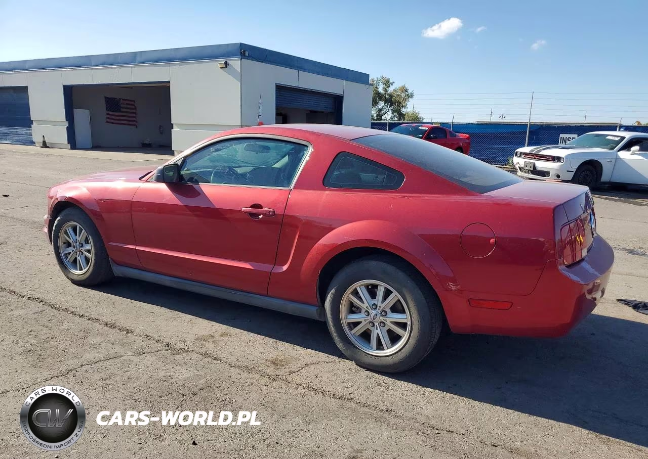 2006 Ford Mustang VIN:1ZVFT80N565149265 - 2