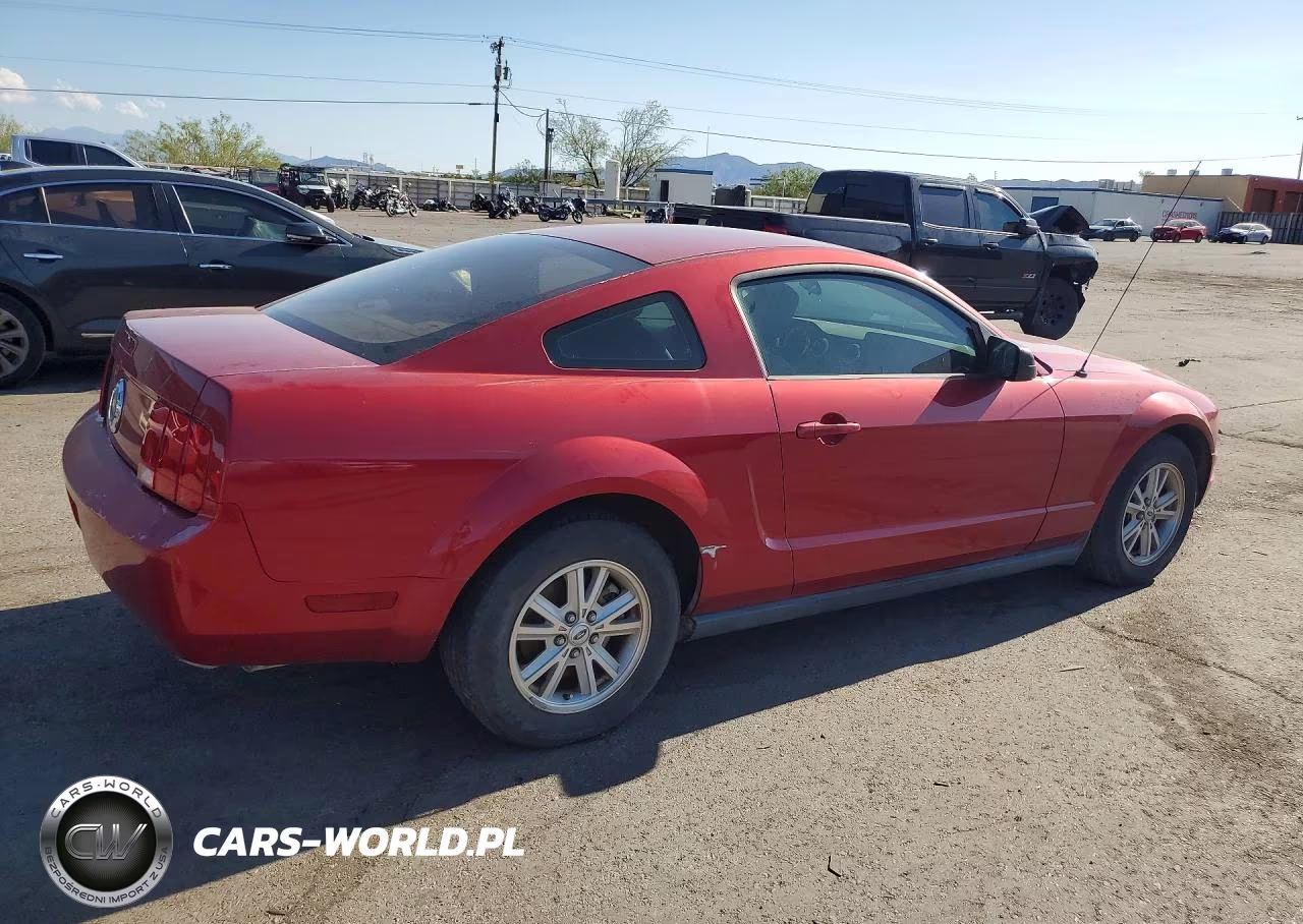 2006 Ford Mustang VIN:1ZVFT80N565149265 - 3