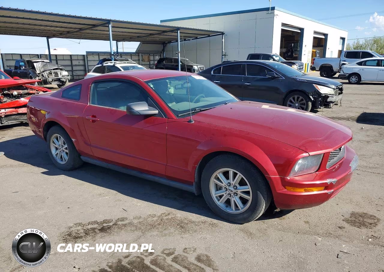2006 Ford Mustang VIN:1ZVFT80N565149265 - 4