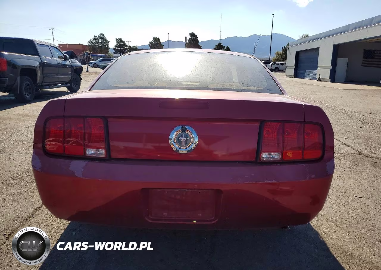 2006 Ford Mustang VIN:1ZVFT80N565149265 - 6