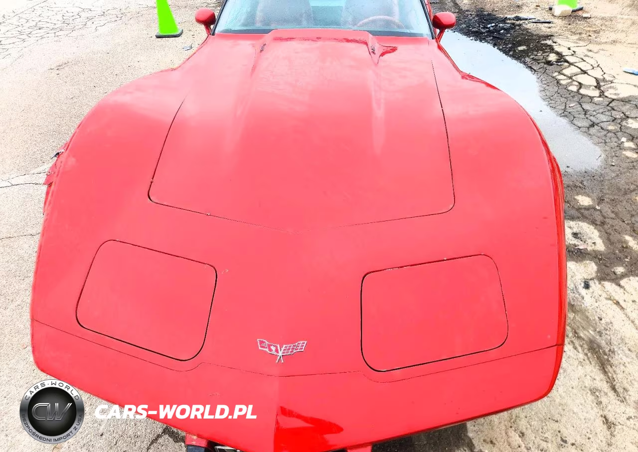 1979 Chevrolet Corvette VIN:1Z8789S411823 - 11