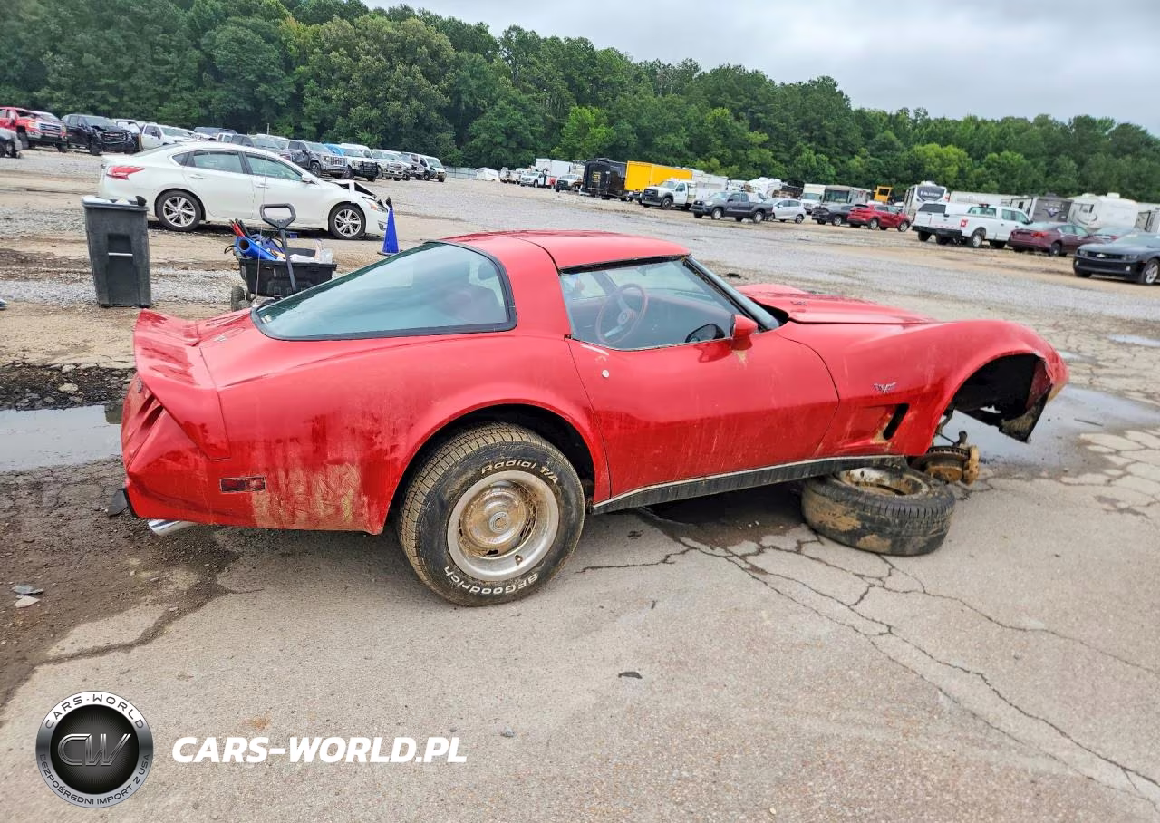 1979 Chevrolet Corvette VIN:1Z8789S411823 - 3
