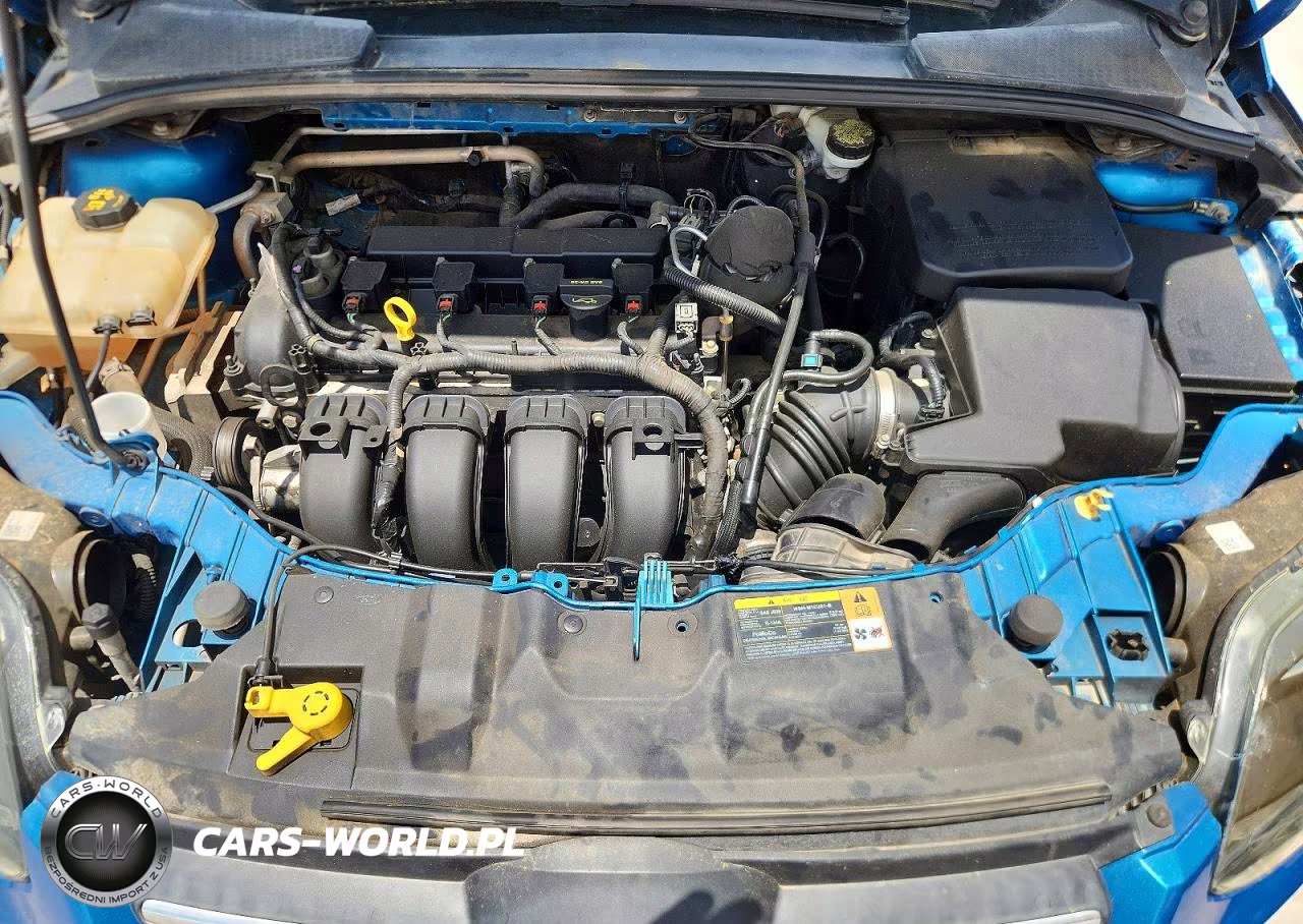2014 Ford Focus Se VIN:1FADP3K28EL207969 - 11