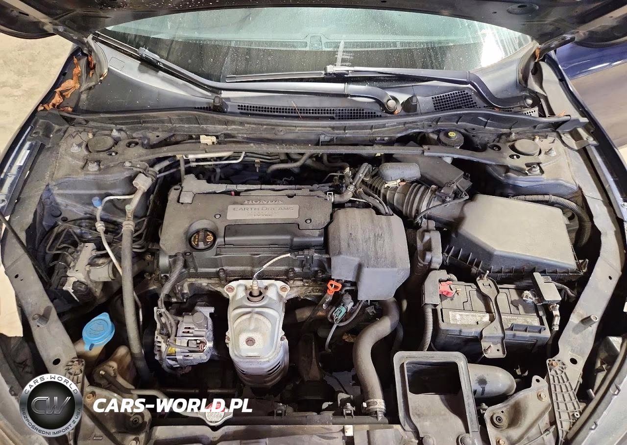 2013 Honda Accord Exl VIN:1HGCR2F85DA020029 - 11