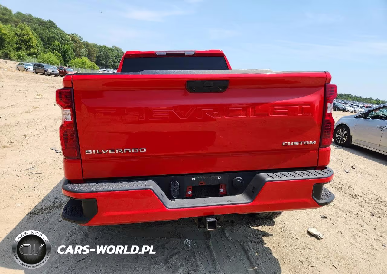 2022 Chevrolet Silverado K1500 Custom VIN:1GCPDBEK4NZ601780 - 6