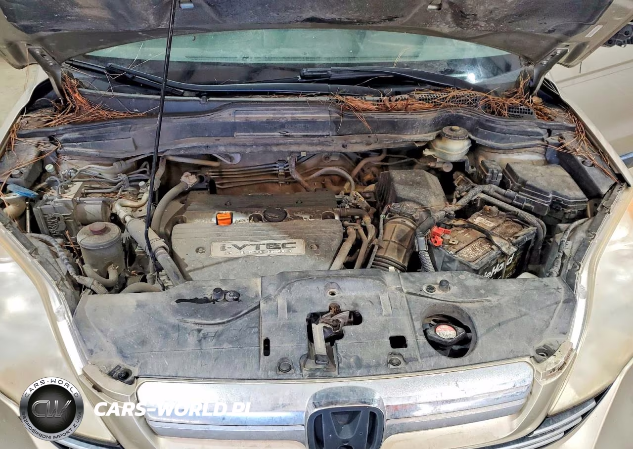 2008 Honda Cr-V Exl VIN:JHLRE387X8C023231 - 12