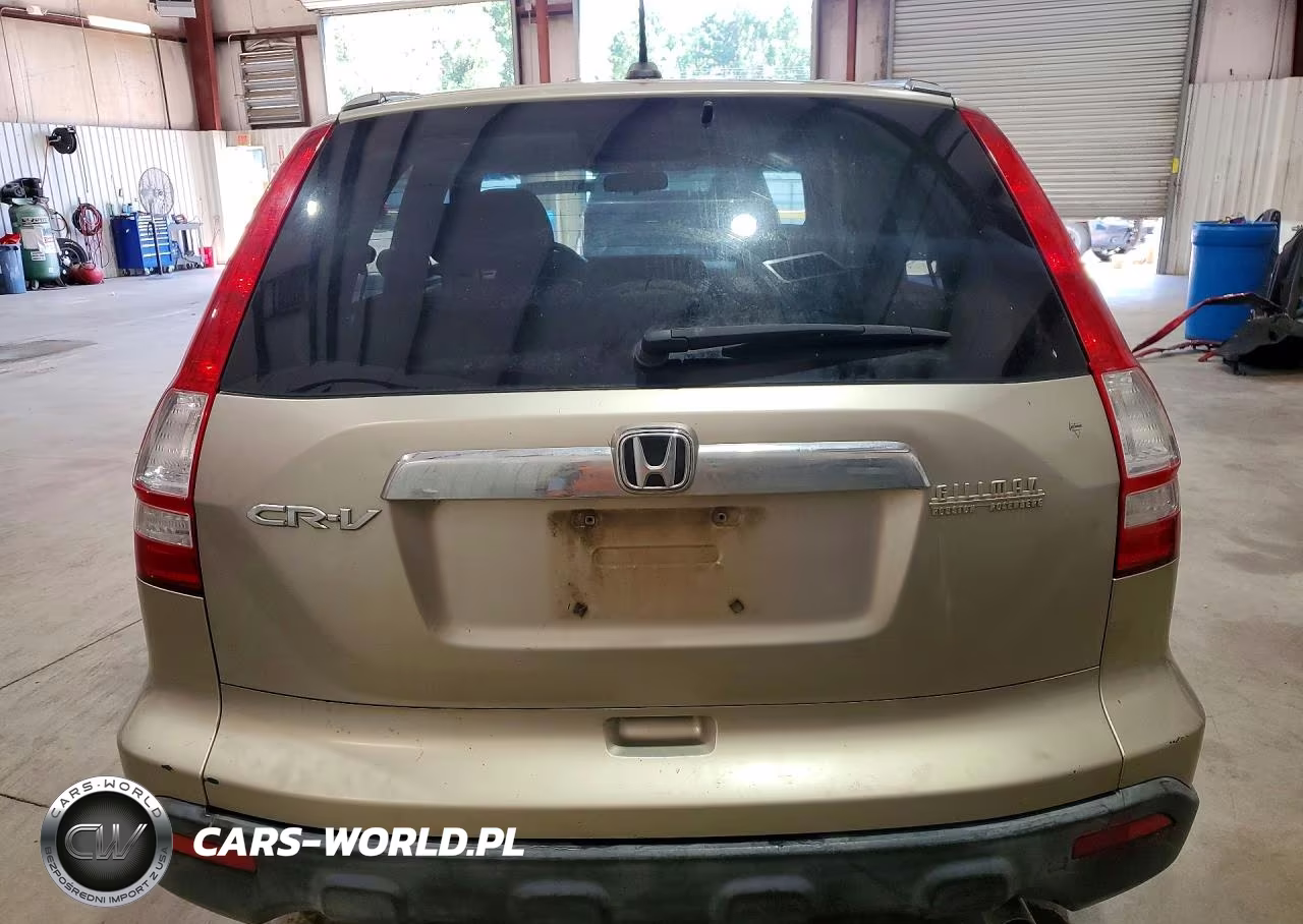 2008 Honda Cr-V Exl VIN:JHLRE387X8C023231 - 6