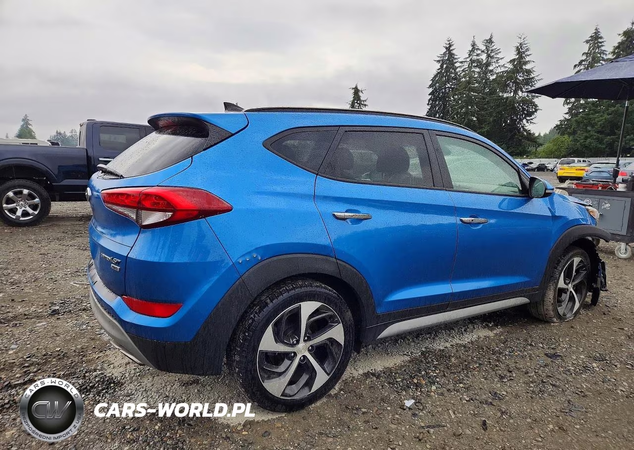 2018 Hyundai Tucson Limited VIN:KM8J3CA2XJU629784 - 3