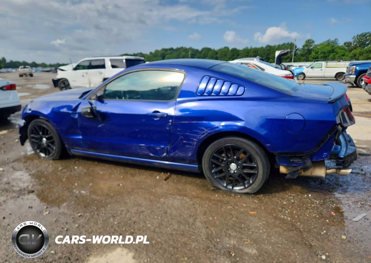 2014 Ford Mustang VIN:1ZVBP8AM8E5301725 - 2
